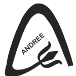 Andree Creation in Patna is using RetailCore Software for clothing store