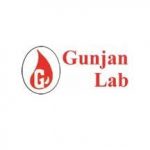 Gunjan Lab logo