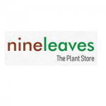 nineleaves - The Plant Store in Pune